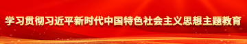 亚洲有声音的男人操女人逼视频学习贯彻习近平新时代中国特色社会主义思想主题教育