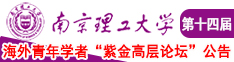 色哟哟网站人力资源管理师南京理工大学第十四届海外青年学者紫金论坛诚邀海内外英才！